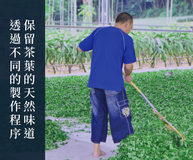 保留茶葉的天然味道 透過不同的製作程序